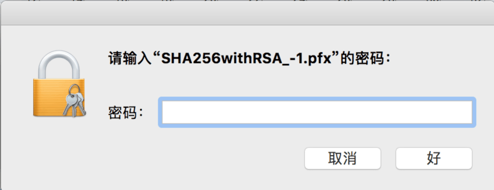 输入.pfx文件密码界面