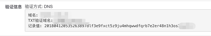 DNS验证样例内容