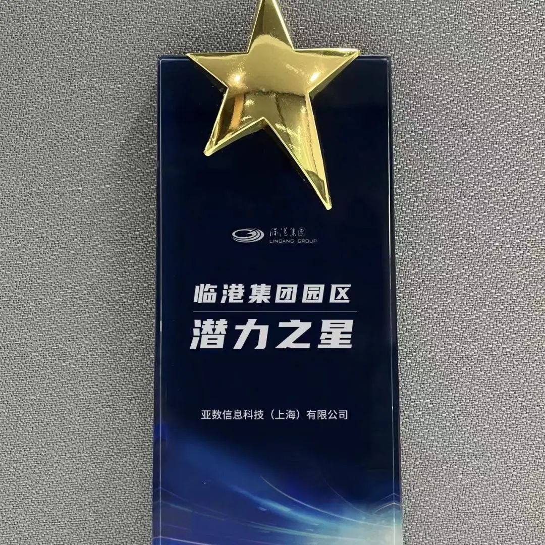 荣获"临港集团园区潜力之星"奖项